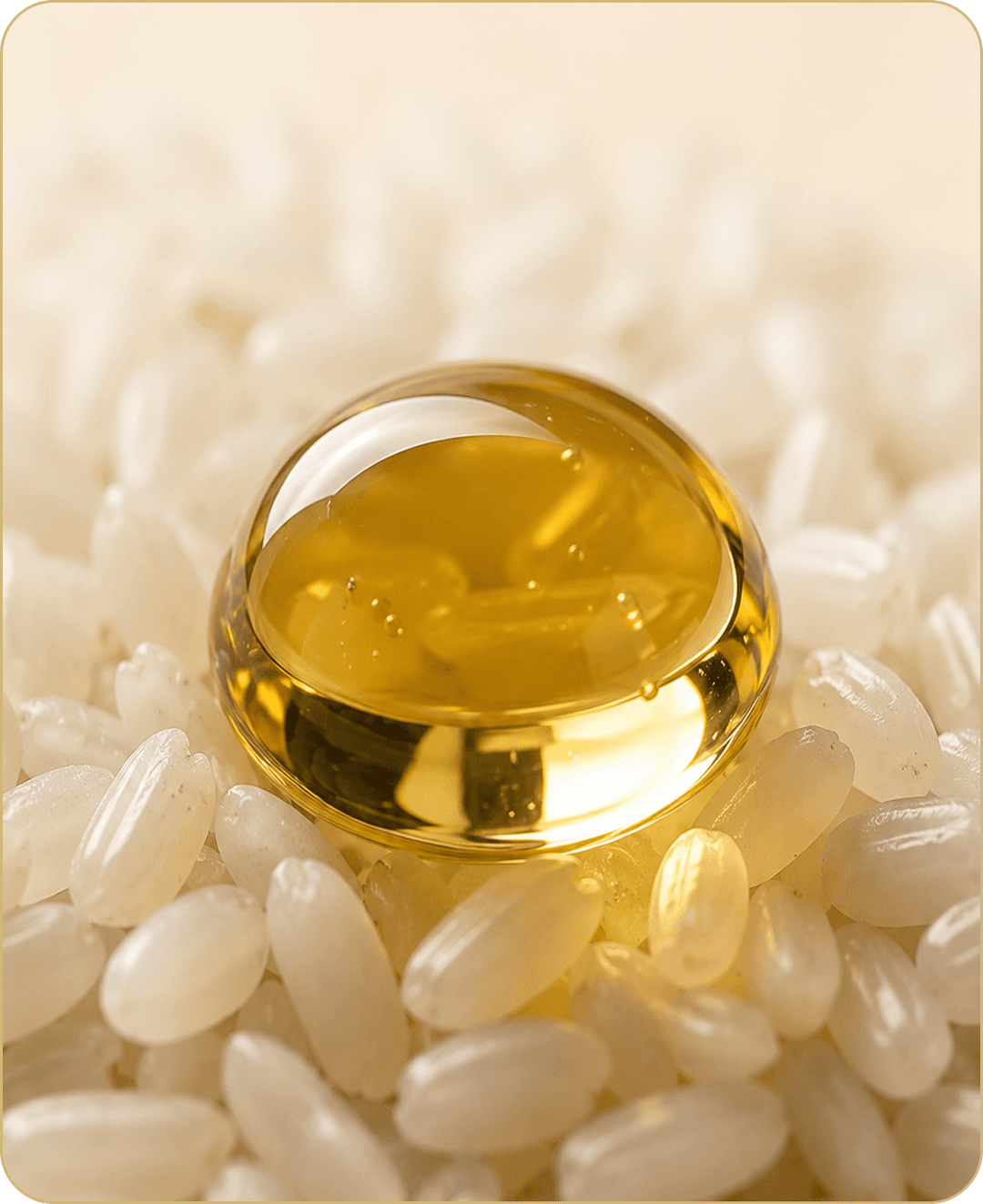 Rice Bran Oil